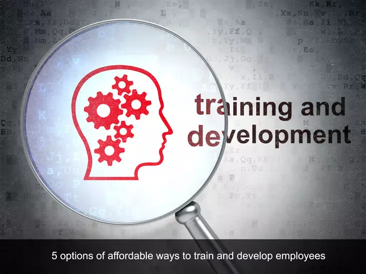 5 Affordable Forms of Employee Training And Development