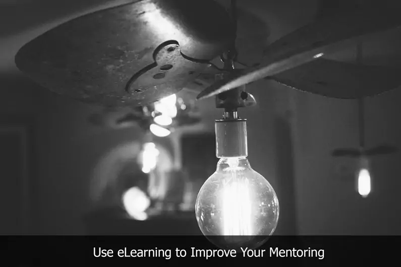 Mentoring Skills through eLearning
