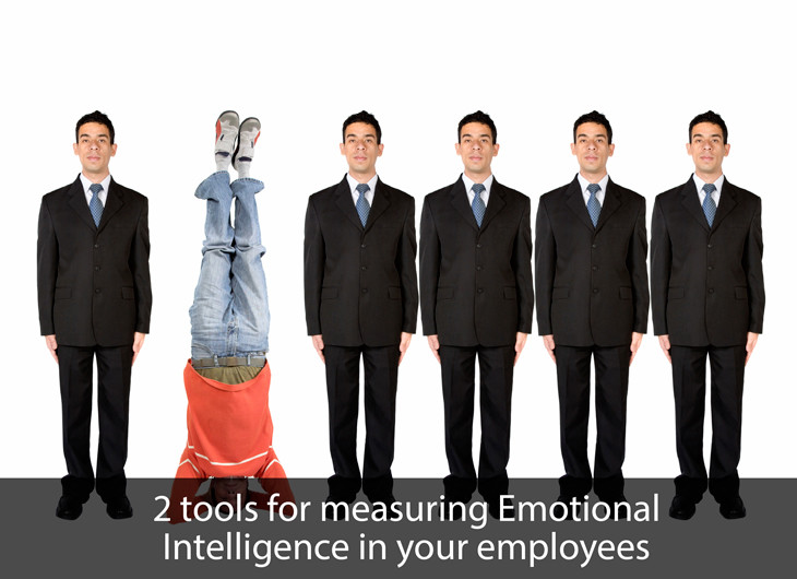 eLearning Assessment of Emotional Intelligence