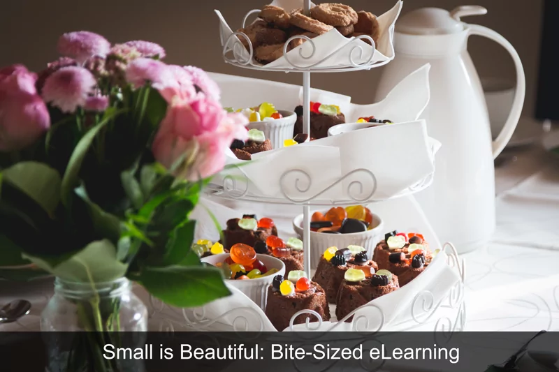 Small is Beautiful: Bite-Sized eLearning