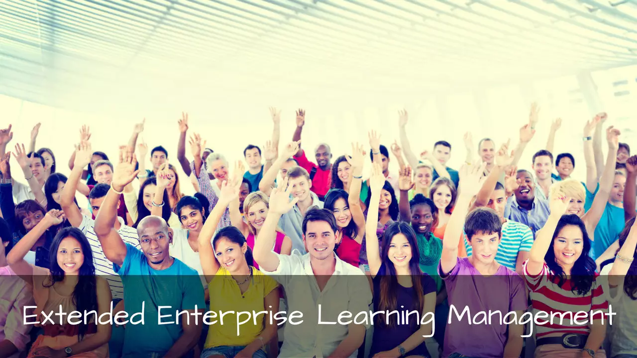 Extended enterprise learning management system