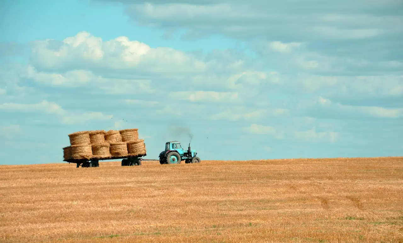 Harvest Season: Time for Farm Safety Training