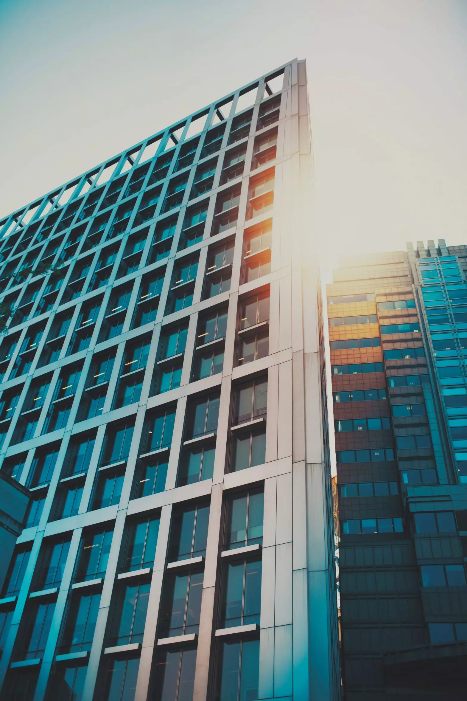 Shifting to a Performance Culture: Why Culture Should Be Part of Performance Management