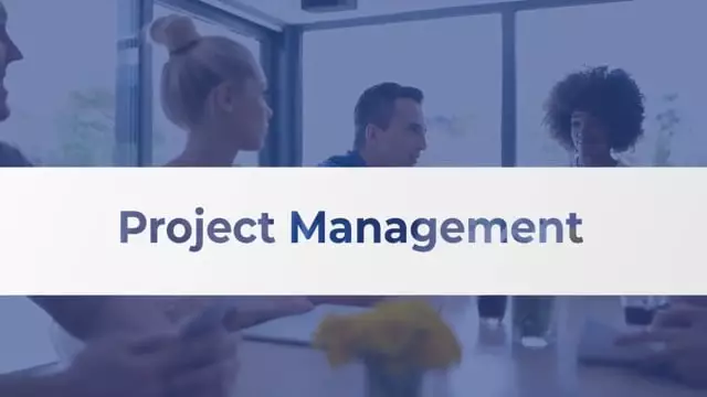 Business Power Skills: Project Management