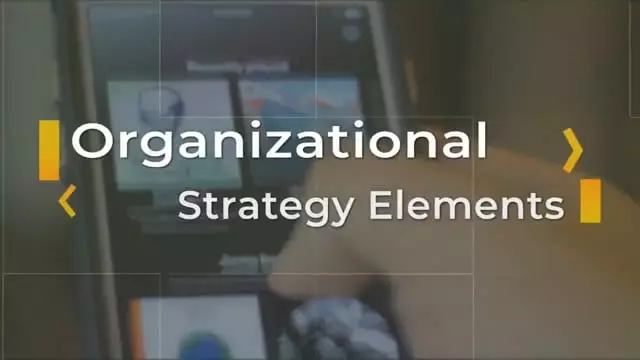 Business Strategy: Organizational Strategy Elements