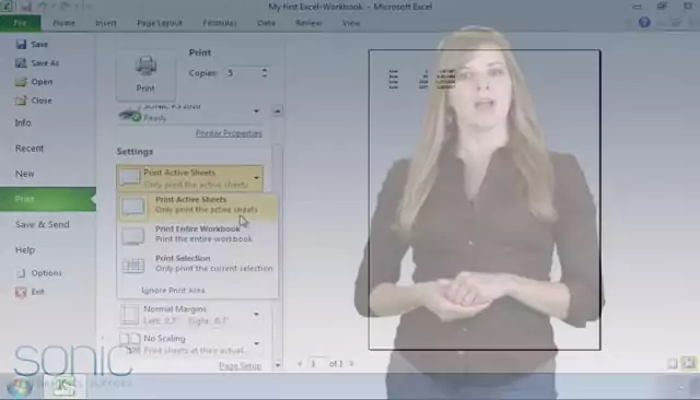 Microsoft Excel 2010: Printing Excel Workbooks