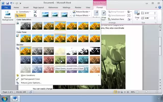 Microsoft Word 2010: Modifying Pictures