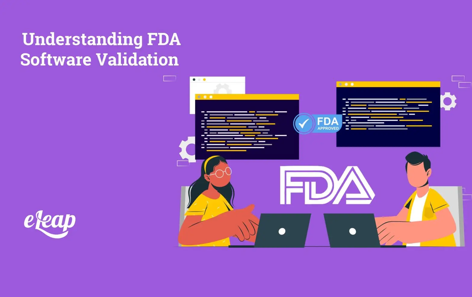 Understanding FDA Software Validation