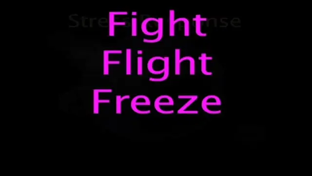Stress Response (Fight, Flight, Freeze) In 1 Minute
